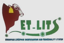 Liferay
